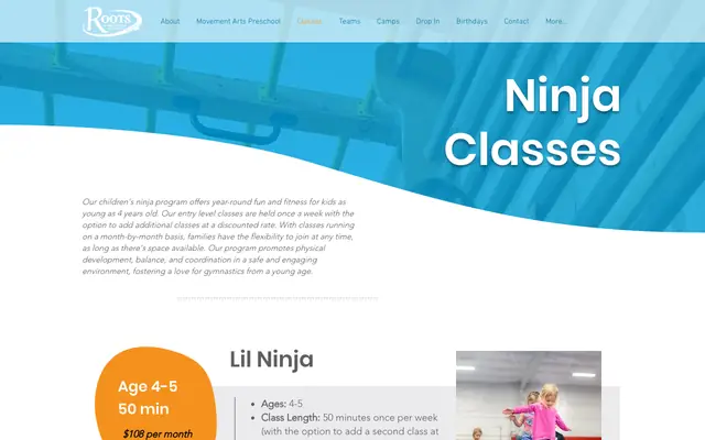 Screenshot of rootsmissoula.com