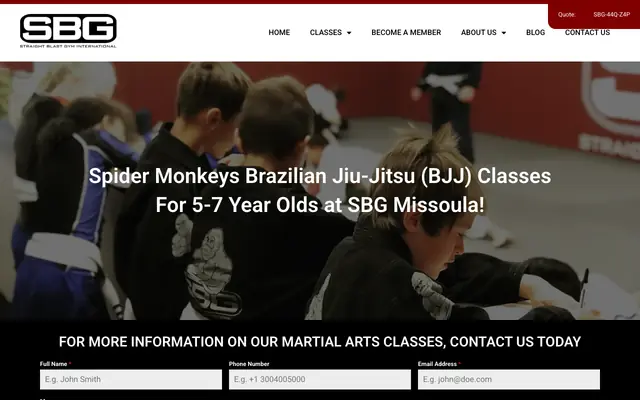 Screenshot of sbgmissoula.com
