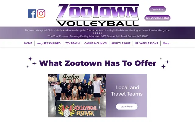 Screenshot of ztvolleyball.com