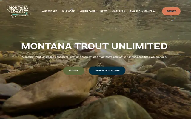 Screenshot of montanatu.org