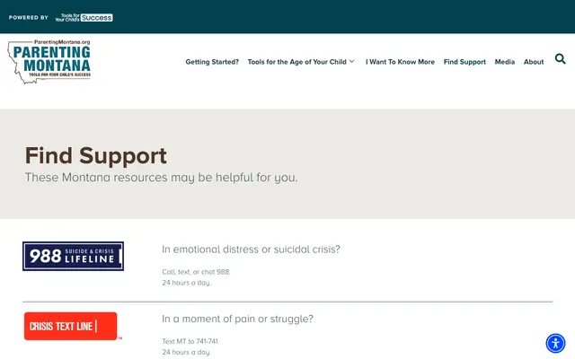 Screenshot of toolsforyourchildssuccess.org