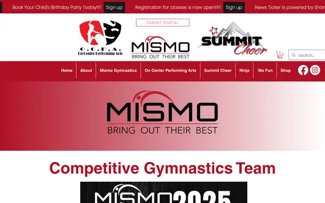 Screenshot of mismogym.com