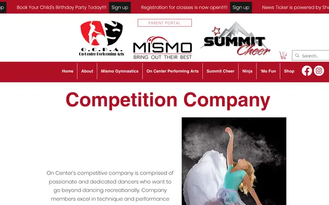 Screenshot of mismogym.com
