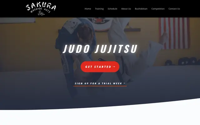 Screenshot of sakurawarriorarts.com