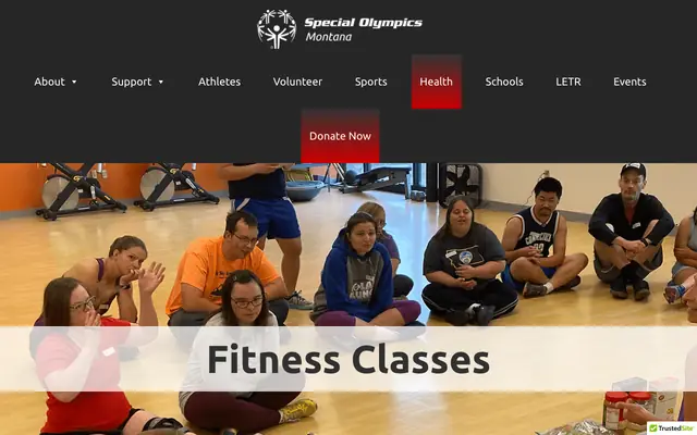 Screenshot of somt.org