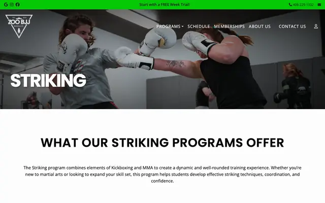 Screenshot of zoobjj.com