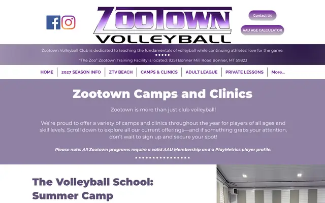 Screenshot of ztvolleyball.com