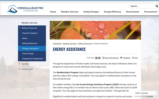 Screenshot of missoulaelectric.com