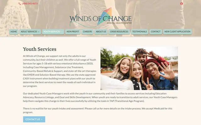 Screenshot of wellnessmt.com