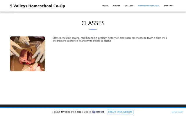 Screenshot of 1115816.site123.me