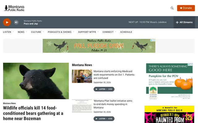 Screenshot of mtpr.org