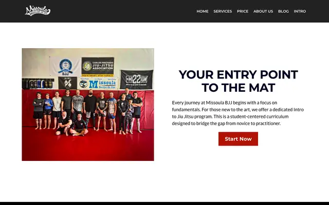 Screenshot of mslabjj.com
