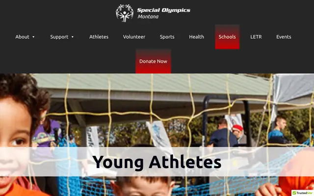 Screenshot of somt.org