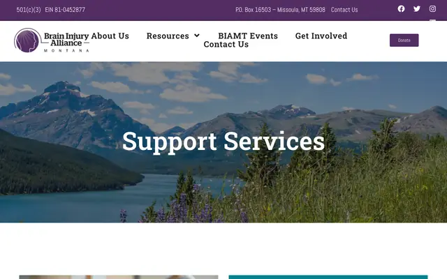 Screenshot of biamt.org