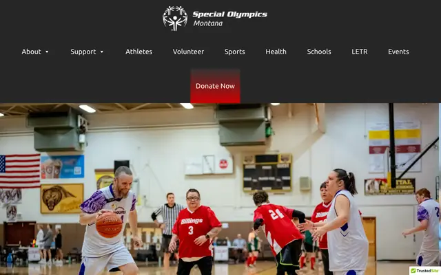 Screenshot of somt.org