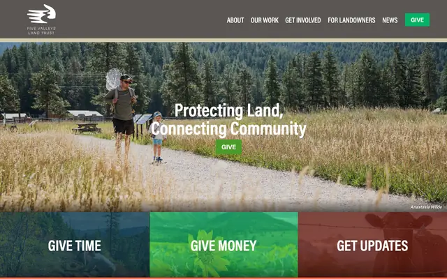 Screenshot of fvlt.org