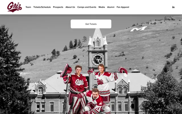 Screenshot of grizhockey.com