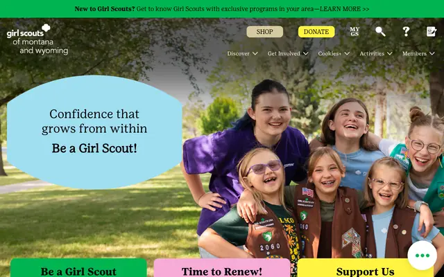 Screenshot of gsmw.org