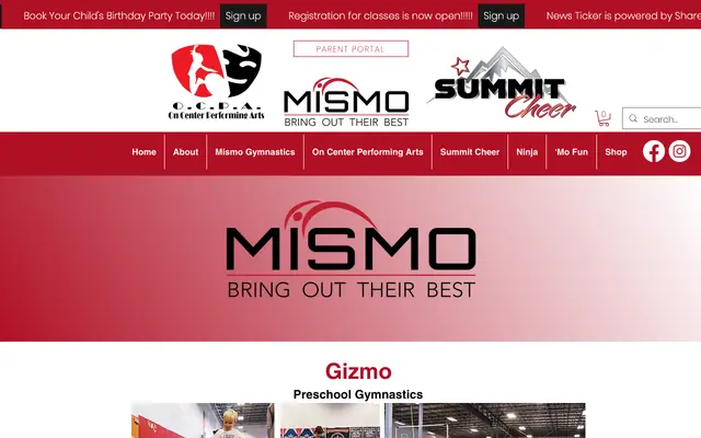Screenshot of mismogym.com