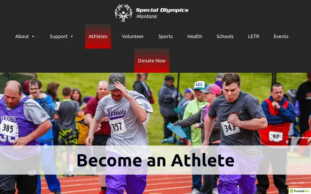 Screenshot of somt.org
