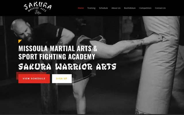 Screenshot of sakurawarriorarts.com