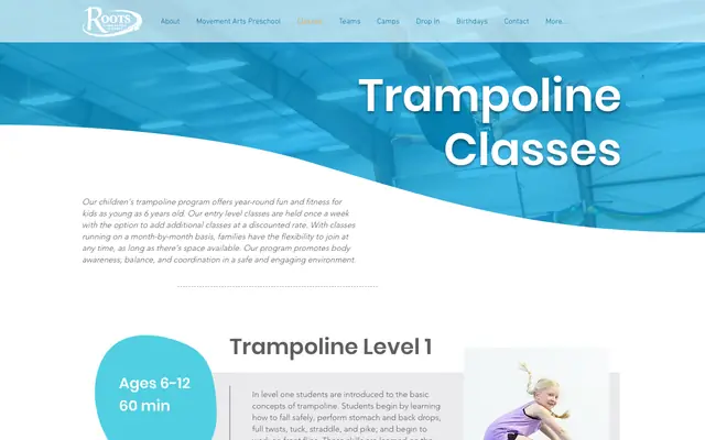 Screenshot of rootsmissoula.com