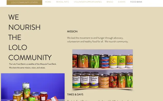 Screenshot of lolocommunitycenter.com