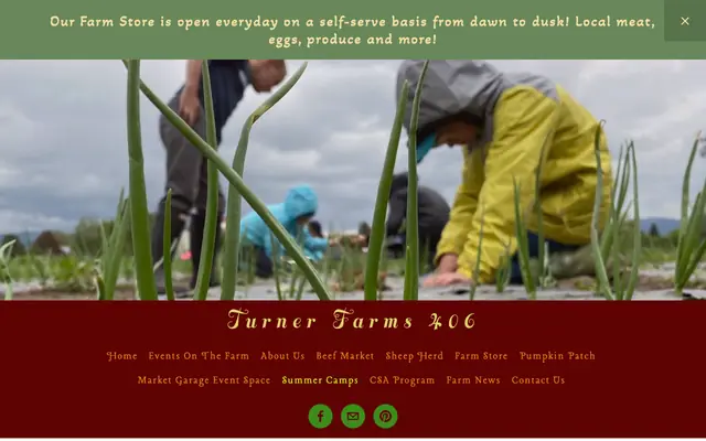 Screenshot of turnerfarms406.com