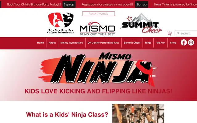 Screenshot of mismogym.com