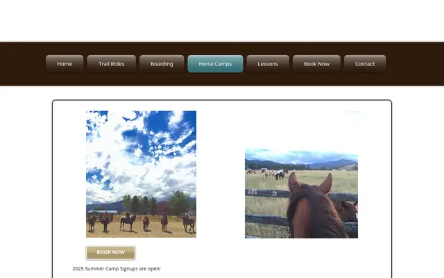 Screenshot of hmbhorses.com